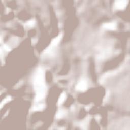 Xochitepec Terrain Map