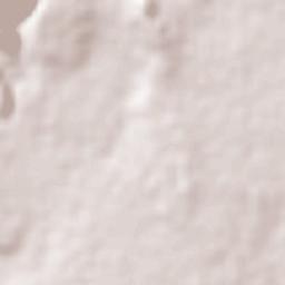 Tezoyuca Terrain Map