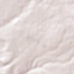 Colonia las Arboledas Terrain Map