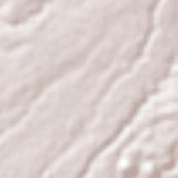 Mixtlalcingo Terrain Map