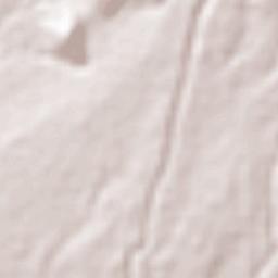 Zacualpan de Amilpas Terrain Map