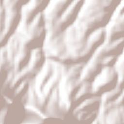 San Antonio Juárez Terrain Map