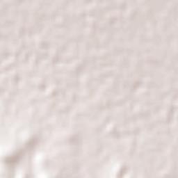 La Laguna Terrain Map