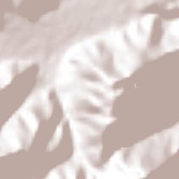 Maltrata Terrain Map