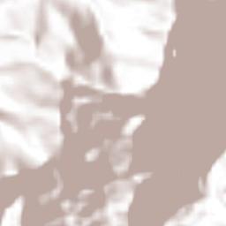 Necoxtla Terrain Map