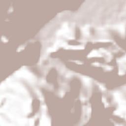 Tlilapan Terrain Map