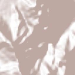 Rafael Delgado Terrain Map