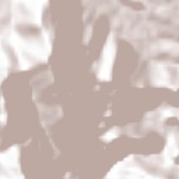 Naranjal Terrain Map