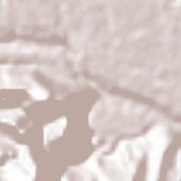 Coetzala Terrain Map