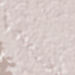 San José de Abajo Terrain Map