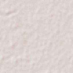 Tlalixcoyan Terrain Map