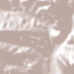 Bohechío Terrain Map