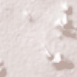 Parlakimidi Terrain Map