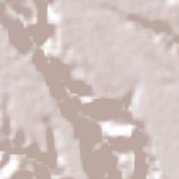 La Concepción (La Concha) Terrain Map