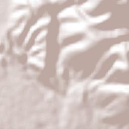 Temimilcingo Terrain Map