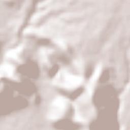 Constancio Farfán (La Pascuala) Terrain Map