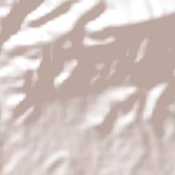 Huehuetlán el Grande Terrain Map