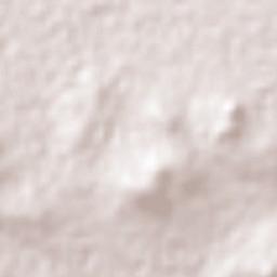 San Gabriel Tetzoyocán Terrain Map