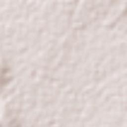 Rancho Chico Terrain Map