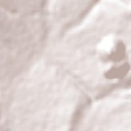 Morelos Cañada Terrain Map