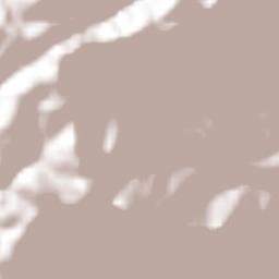 Huiloapan Terrain Map