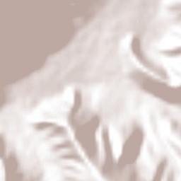 Sierra de Agua Terrain Map