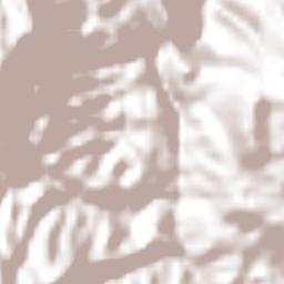 Soledad Atzompa Terrain Map