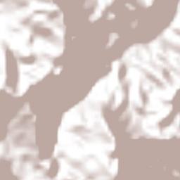 Magdalena Terrain Map