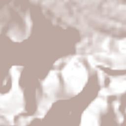 Rincón de Buena Vista Terrain Map