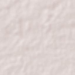 Piedras Negras Terrain Map