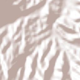 Juan Adrián Terrain Map