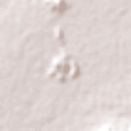 Coahuayana de Hidalgo Terrain Map