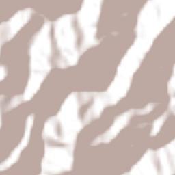 Zacualpan Terrain Map