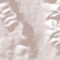 Colonia Palo Prieto (Chipitongo) Terrain Map