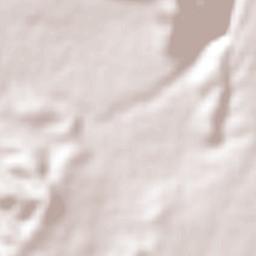 Tenextepango Terrain Map