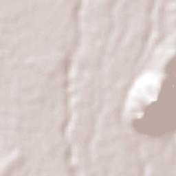 Jantetelco Terrain Map