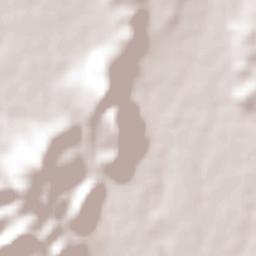 Tlapanalá Terrain Map