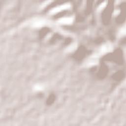 Xochitlan Todos Santos Terrain Map