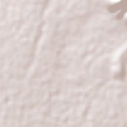 San José Tlacuitlapan Terrain Map