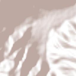 Acultzingo Terrain Map