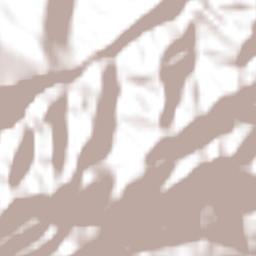 Tetlatzinga Terrain Map