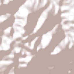 Tlatzala Terrain Map