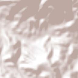 El Cercado Terrain Map