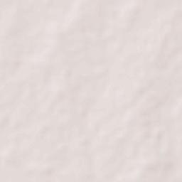 Shikrapur Terrain Map