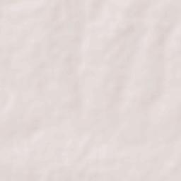 Chausala Terrain Map