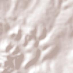 Ahuehuetzingo Terrain Map