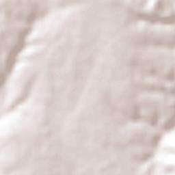 Xoxocotla Terrain Map