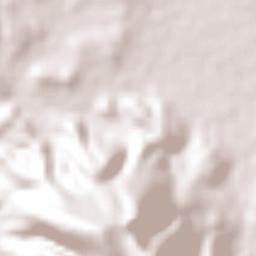 Tlaltizapán Terrain Map