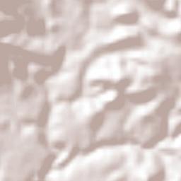 San Vicente de Juárez Terrain Map