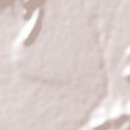 Tepapayeca Terrain Map